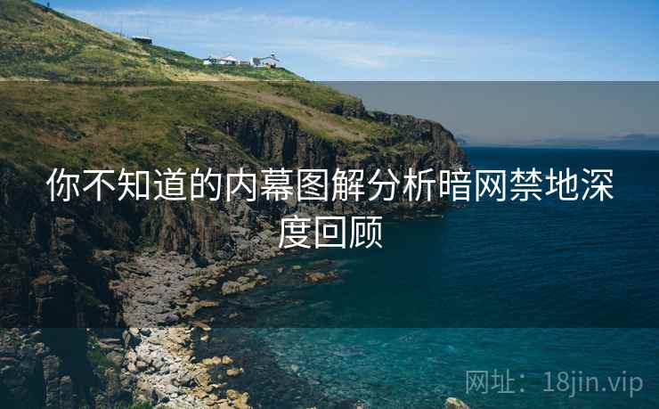 你不知道的内幕图解分析暗网禁地深度回顾