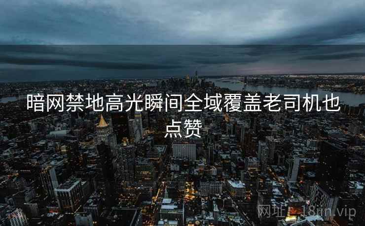 暗网禁地高光瞬间全域覆盖老司机也点赞
