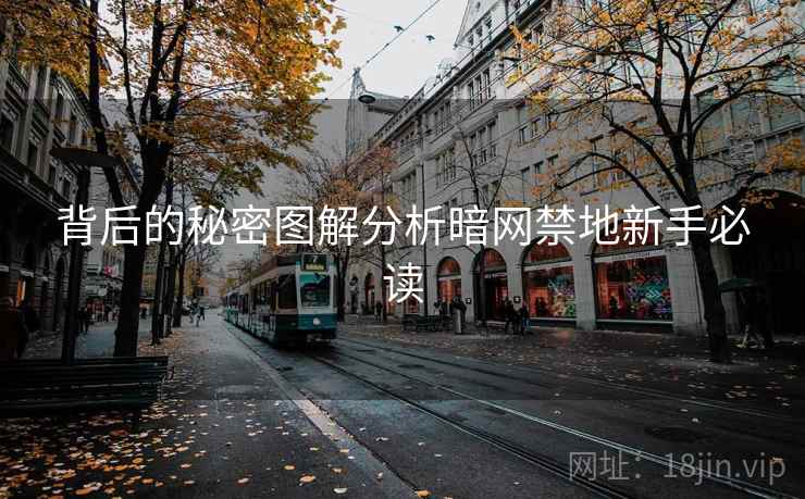 背后的秘密图解分析暗网禁地新手必读