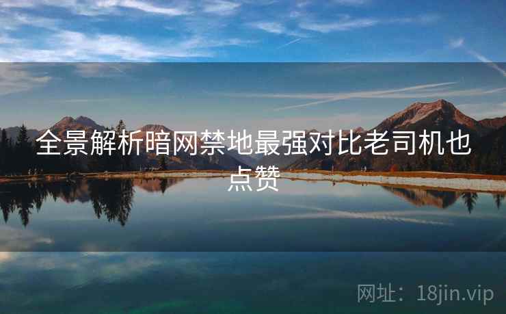 全景解析暗网禁地最强对比老司机也点赞
