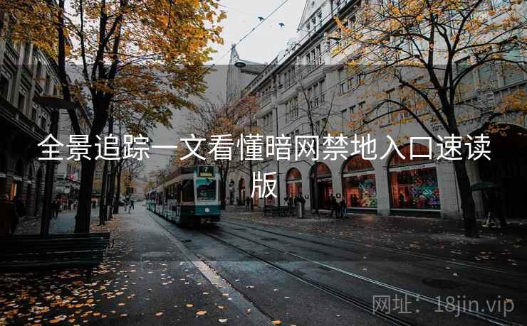 全景追踪一文看懂暗网禁地入口速读版