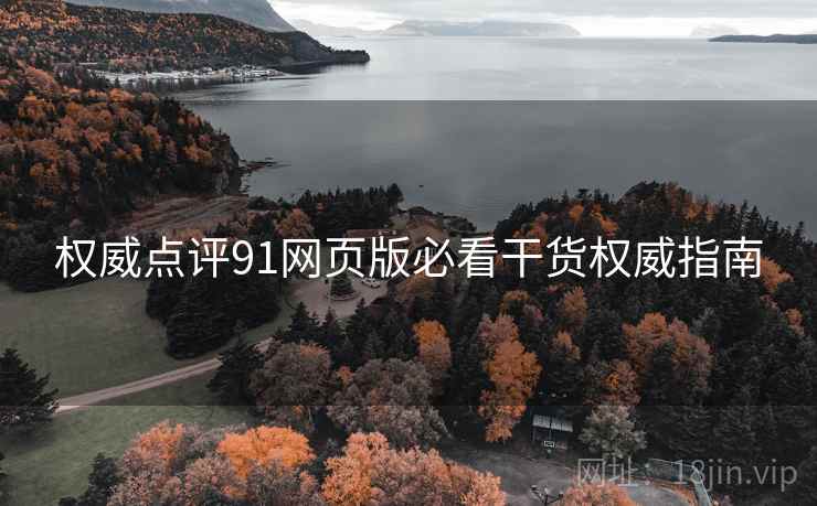 权威点评91网页版必看干货权威指南