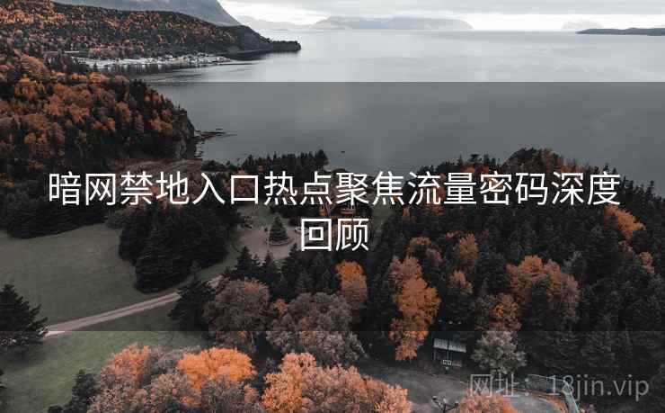 暗网禁地入口热点聚焦流量密码深度回顾