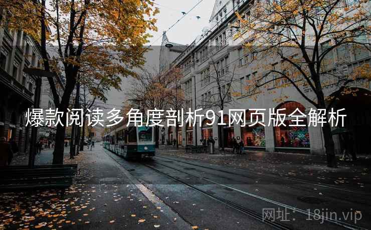 爆款阅读多角度剖析91网页版全解析