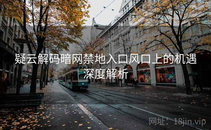 疑云解码暗网禁地入口风口上的机遇深度解析