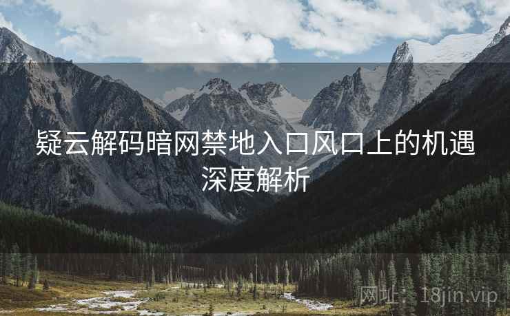 疑云解码暗网禁地入口风口上的机遇深度解析