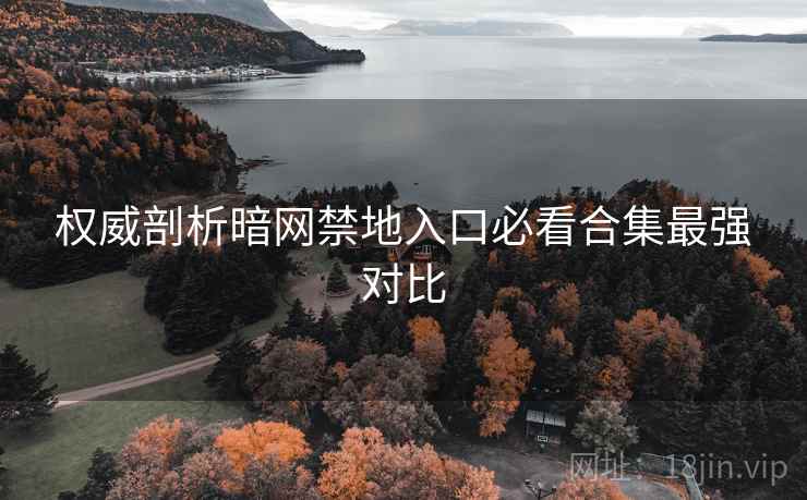 权威剖析暗网禁地入口必看合集最强对比