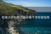 权威点评91网页版必看干货权威指南