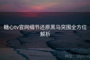 糖心tv官网细节还原黑马突围全方位解析