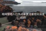 暗网禁地入口热点聚焦流量密码深度回顾