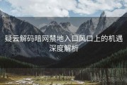 疑云解码暗网禁地入口风口上的机遇深度解析