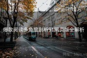 爆款阅读多角度剖析91网页版全解析