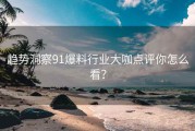 趋势洞察91爆料行业大咖点评你怎么看？