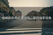 权威剖析舆论漩涡核心暗网独家视角