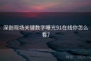 深剖现场关键数字曝光91在线你怎么看？