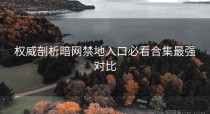权威剖析暗网禁地入口必看合集最强对比